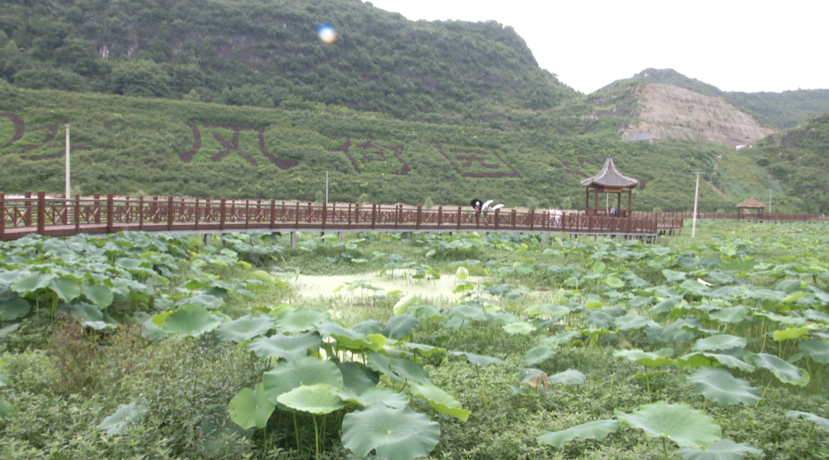 微信图片_20190806112140.png